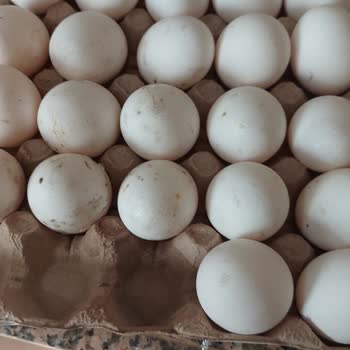 Çelikkayalar'da Alışverişte Hayal Kırıklığı: Bozuk Ürünler