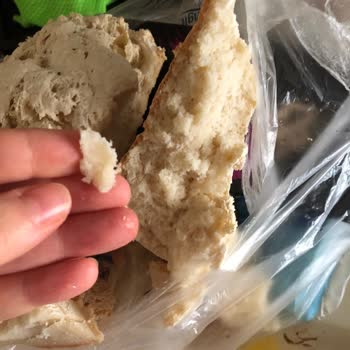 Glutensiz Ekmek Programı Sorunu