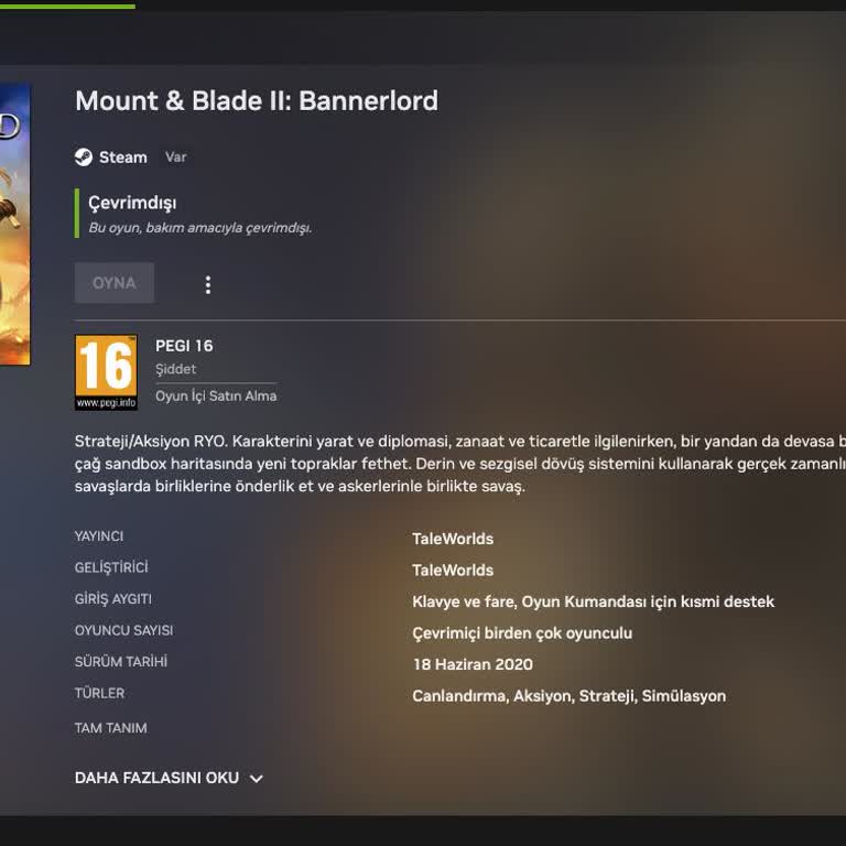 Steam'de Bannerlord Erişim Sorunu