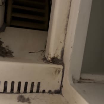 Beko Servisinde Hayal Kırıklığı Ve Zarar