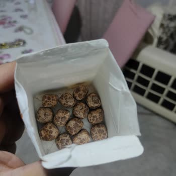 Ülker Albeni Çikolata Kaplamasında Beyazlaşma Sorunu