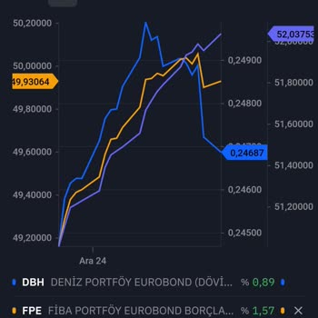 Denizbank Eurobond Fonunun Performansı Sorgulanıyor