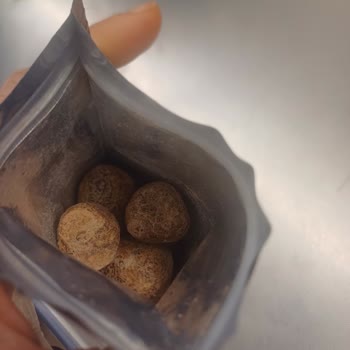 Şok Marketler Karmen Çikolata Şikayeti