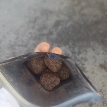 Şok Marketler Karmen Çikolata Şikayeti