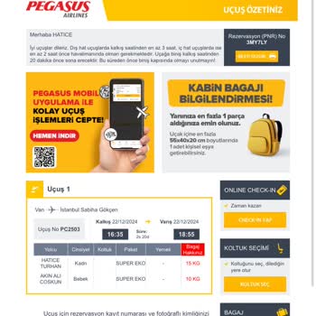 Anneanne Ve Torun İçin Uçuş Kabusu: Pegasus Mağduriyeti