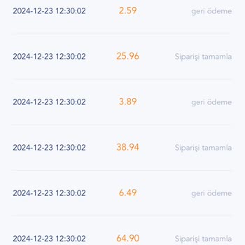 Sürekli Artan Ödemeler Ve İade Sorunu