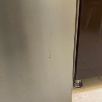 Liebherr Buzdolabında Paslanma Ve Yetersiz Servis Hizmeti