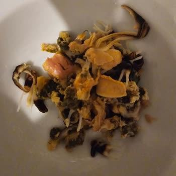 Temizlenmemiş Midye Hayal Kırıklığı