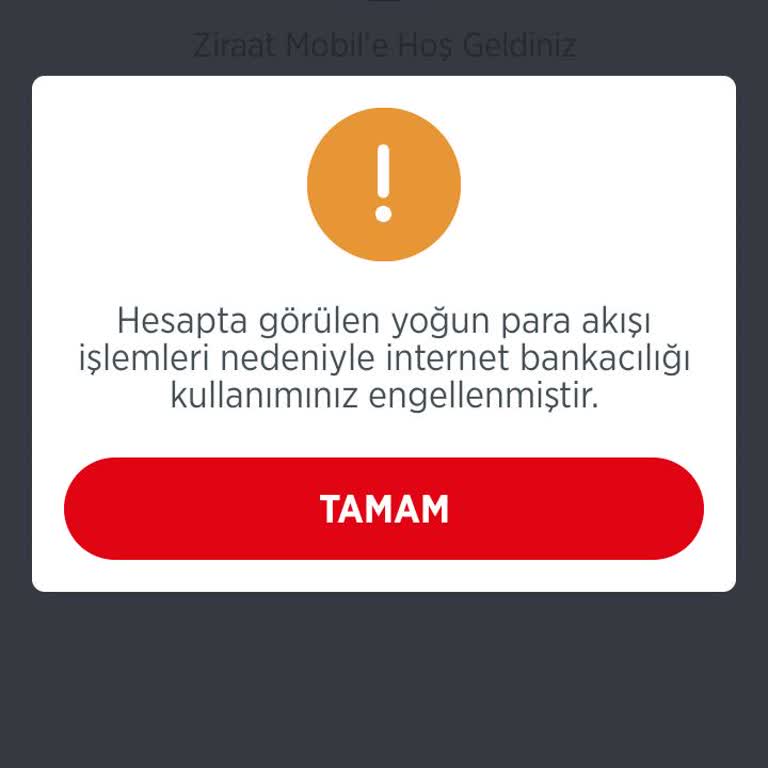 Hesap Giriş Sorunu Ve Müşteri Hizmetleri Cevapsızlığı