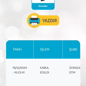PTT Kargo'nun Yavaş Hizmeti Kedilerimi Mağdur Ediyor