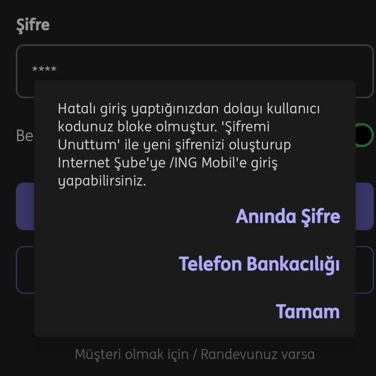 ING Müşteri Hizmetlerine Ulaşamama Sorunu