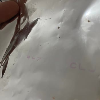 Eti Popkek Çekilişlerinde Şeffaflık Sorunu