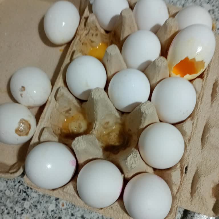 Kırık Ve Çatlak Yumurtalarla Gelen Hayal Kırıklığı