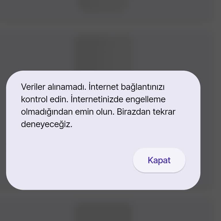 Mobil Kütüphane Uygulamasında İnternet Hatası Ve Kullanım Sorunları