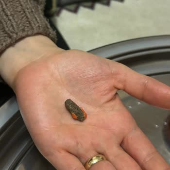 Kuruyemişte Tehlikeli Madde Şoku