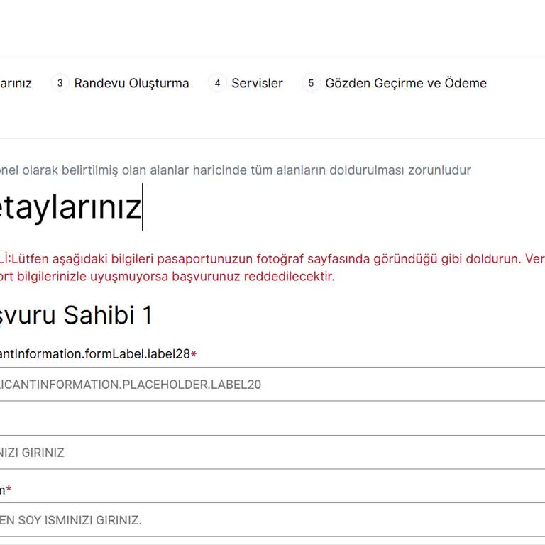 VFS Global Randevu Sistemi Hatası: Label 28 Sorunu