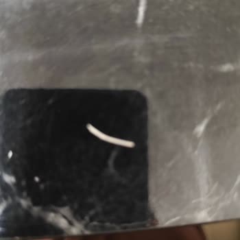 Ton Balığı Konservesinde Sağlık Tehlikesi