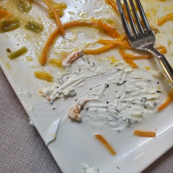 Sosyal Tesiste Yemekte Plastik Şoku