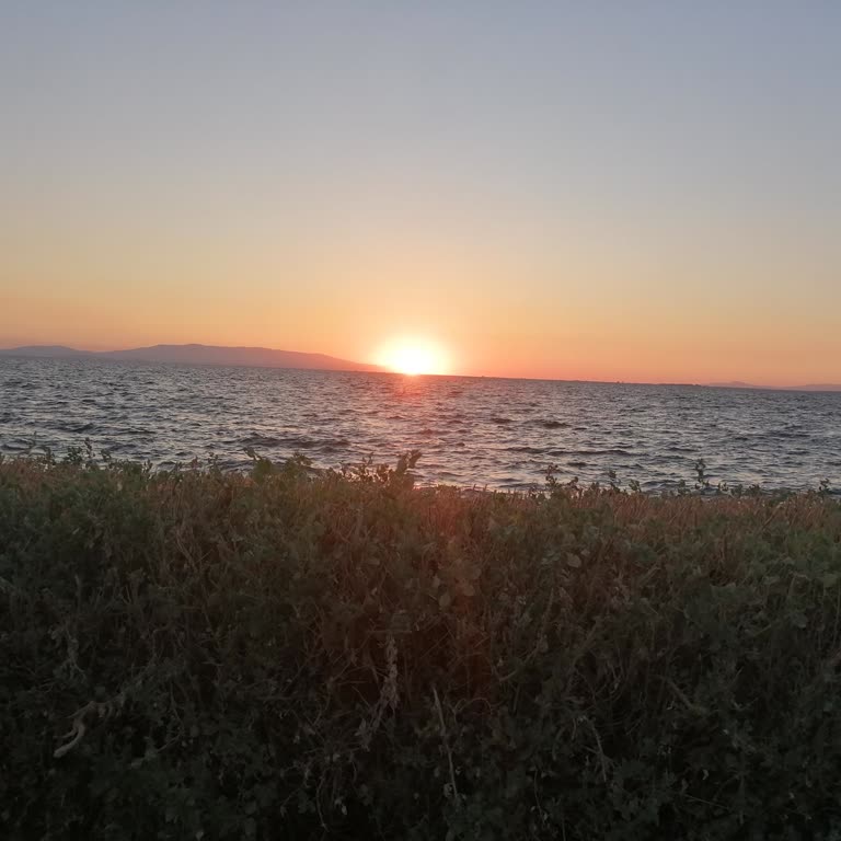 Kastamonu Eğitim Ve Araştırma Hastanesi'nde Randevu Sorunu