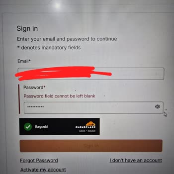 VFS Global Randevu Ve Web Sitesi Sorunları: Kullanıcı Deneyimi Ve Destek Eksiklikleri