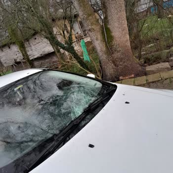 Sigorta Şirketinin Yanıltıcı Bilgileri Ve Hizmet Eksikliği