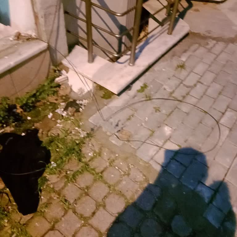 İnternet Kesintisi Ve Altyapı Sorunları