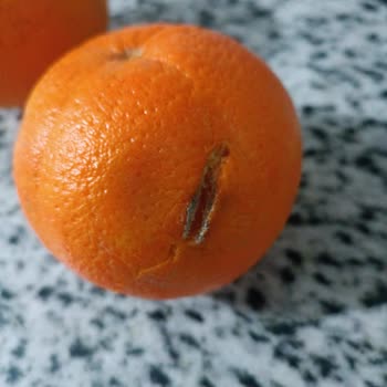 A101 Kapıda Uygulamasıyla Sürekli Bozuk Ürün Teslimatı Ve Destek Sorunu