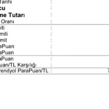 QNB ParaPuan Hatası: Kullanılmayan Puanlar Kesildi
