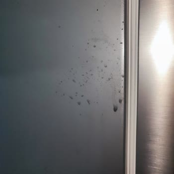 Beko Buzdolabında Boya Atması Ve Müşteri Hizmetleri Sorunu