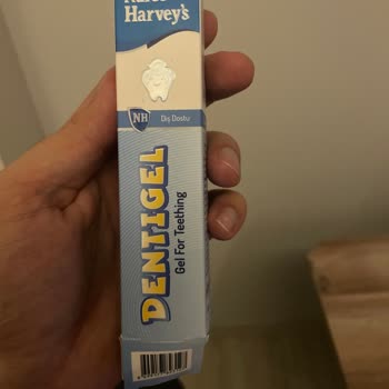 Dentigel Jelde Hava Kabusu