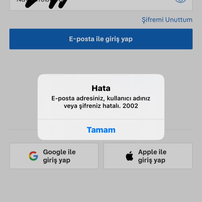 Hesap Erişim Sorunu Ve Şifre Problemi