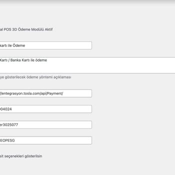 Teknik Destek Eksikliği İle Entegrasyon Sorunu