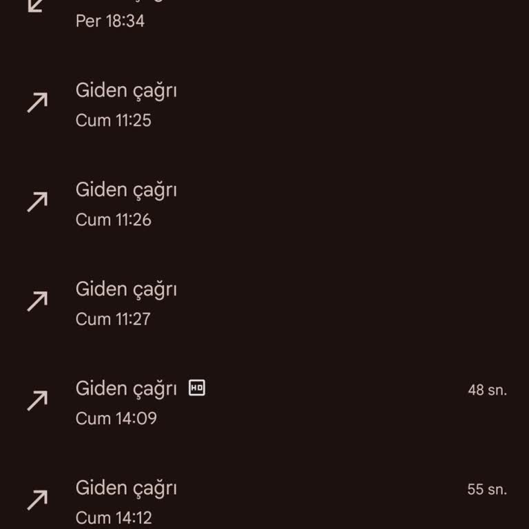 İçişleri Bakanlığı Siber Yanıltıcılara Karşı Yetersiz Önlemler