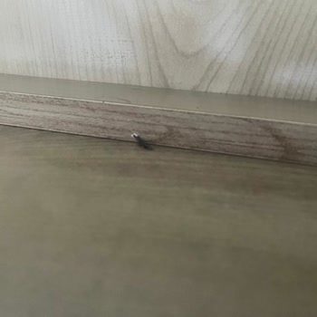 Ayıplı Ürün Ve Yetersiz Müşteri Hizmeti