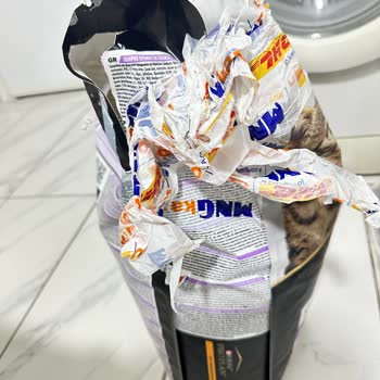 Eksik Ve Hasarlı Kedi Maması Teslimatı