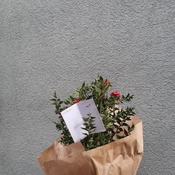 Kusurlu Kokina Siparişi Ve İletişim Eksikliği