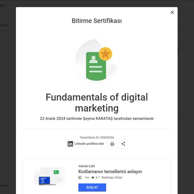 Sertifika Eksikliği: Dijital Pazarlama Kursu Sonrası Hayal Kırıklığı
