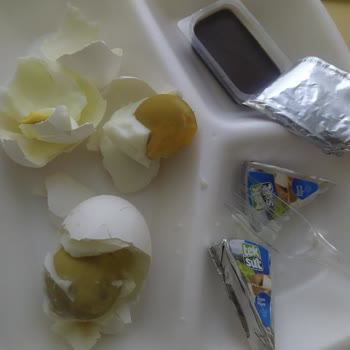 Hastane Kabusu: Hijyen Ve Mahremiyet Sıfır!