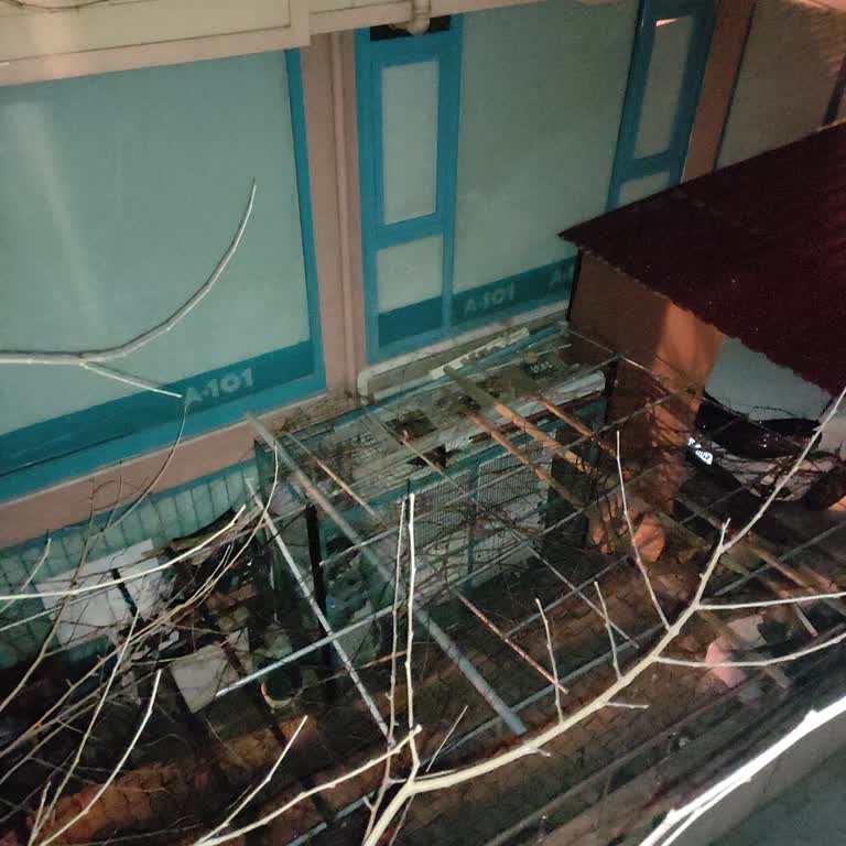 Gürültüden Uykusuz Kalan Müşteri