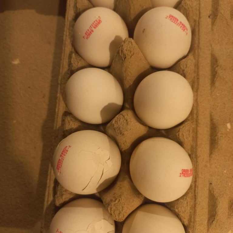 Eksik Ve Hasarlı Ürün Teslimatı Sonrası Yetersiz Müşteri Hizmetleri