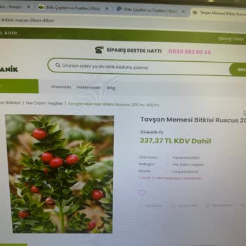 Rüzgar Botanik'ten Çiçek Siparişi Mağduriyeti