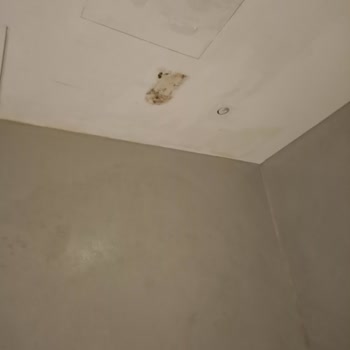 Agoda Hotel Reservations Misleading Reviews and Poor Conditions