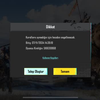 Aldığım Hesaplara Erişim Sorunu