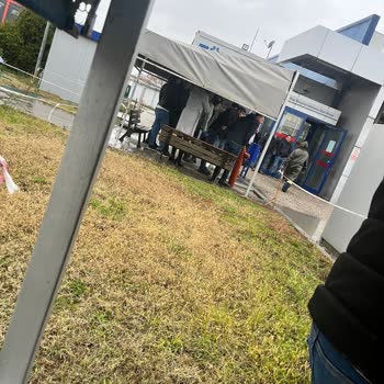 Yağmurlu Günlerde İzdiham: Küçük Kamelya Sorunu