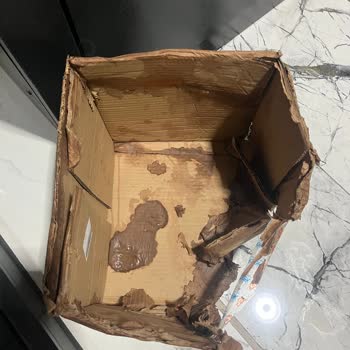 Hasarlı Kargo Ve Dökülen Bebek Sabunu Mağduriyeti