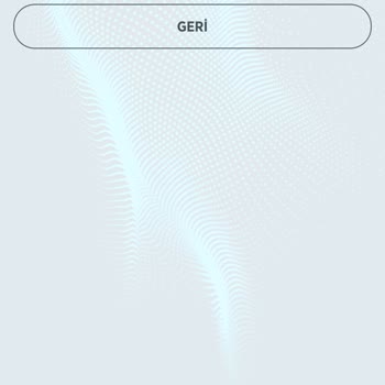 Ziraat Bankası'nda Para Transferi Sorunu