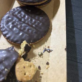 Ülker McVities Bisküvisinde Plastik Parça Şoku