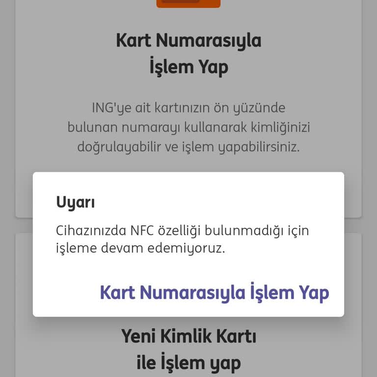 Şifre Blokesi Nedeniyle ING Mobil Erişim Sorunu