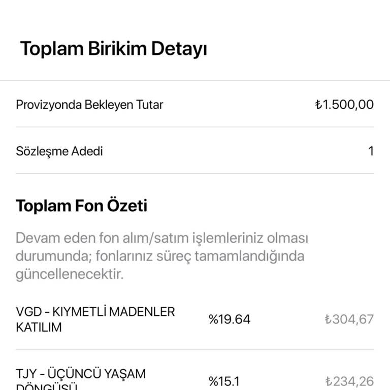 BES Prim Ödemesi Sisteme Yansımıyor