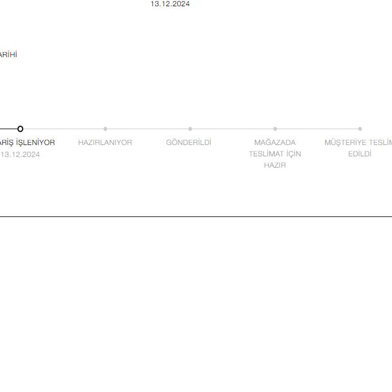 Zara Online'dan Kişiselleştirilmiş Çanta Siparişi: Teslimat Gecikmesi Ve Müşteri Hizmetleri Sorunu